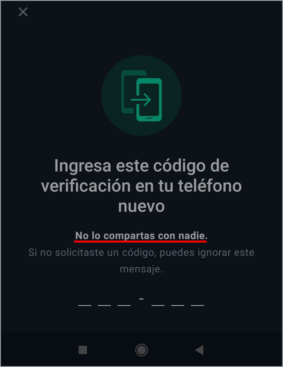 WhatsApp.jpg